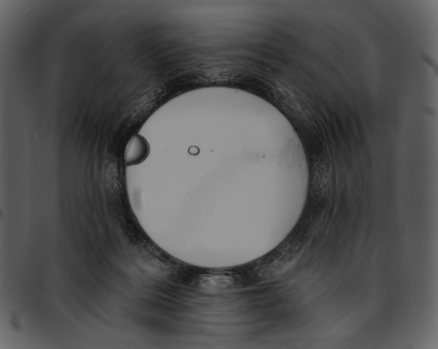 X0000096950220200802291104