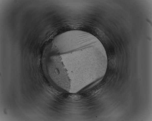 X0000096950221200802291104