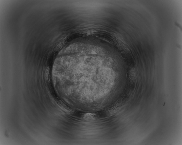 X0000096950222200802291104