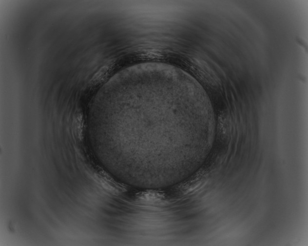 X0000096950223200802291104