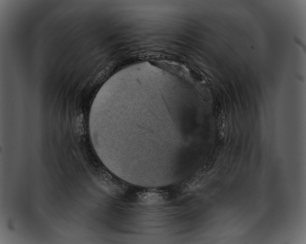 X0000096950224200802291104