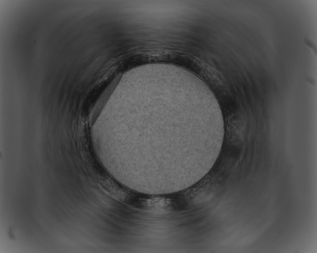 X0000096950225200802291104
