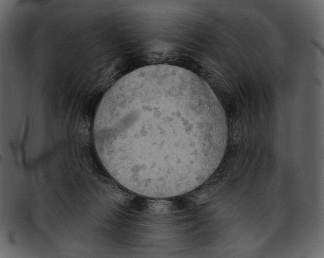X0000096950226200802291104