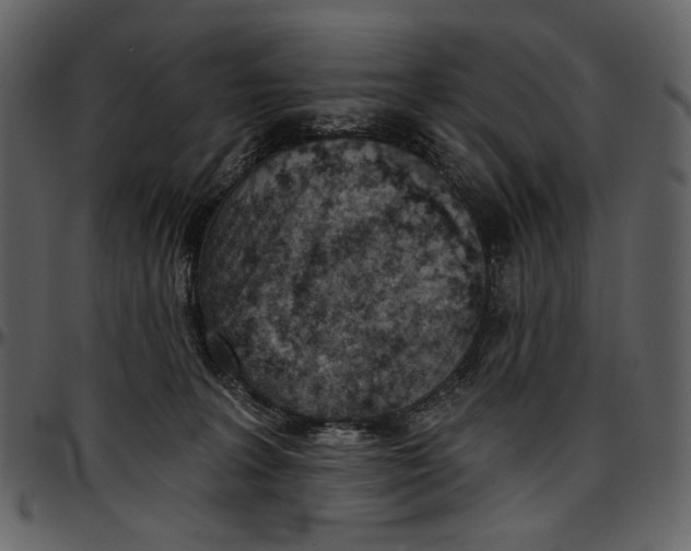 X0000096950227200802291104