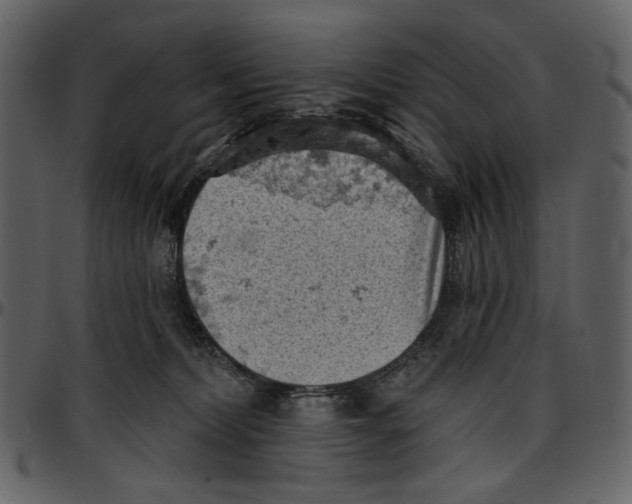 X0000096950228200802291104