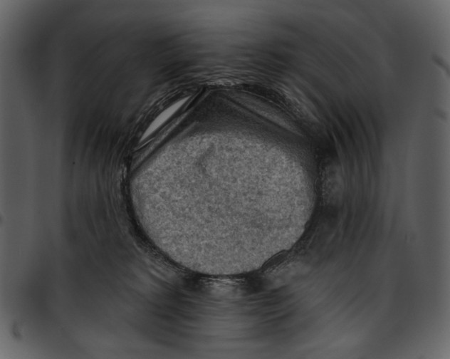 X0000096950229200802291104