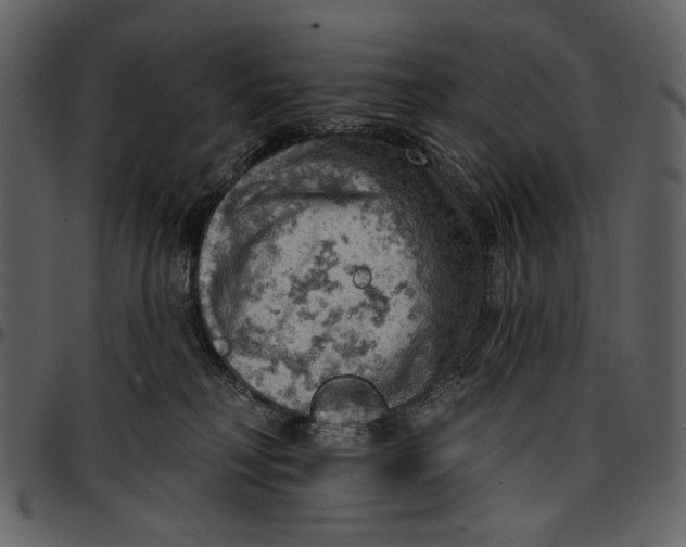 X0000096950230200802291104