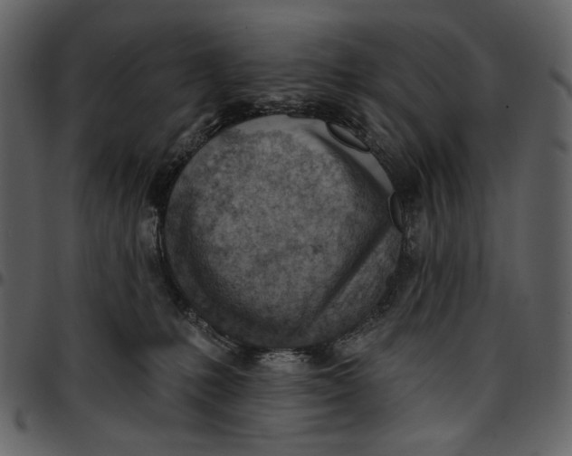 X0000096950231200802291104