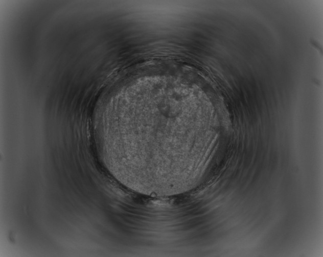 X0000096950232200802291104
