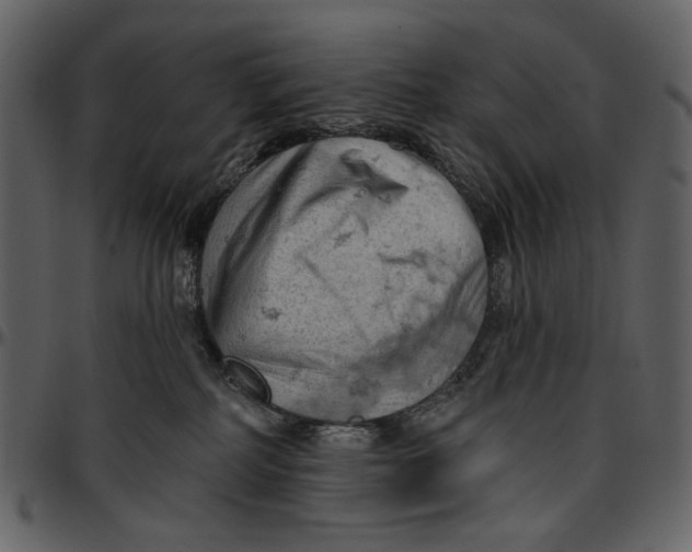 X0000096950234200802291104