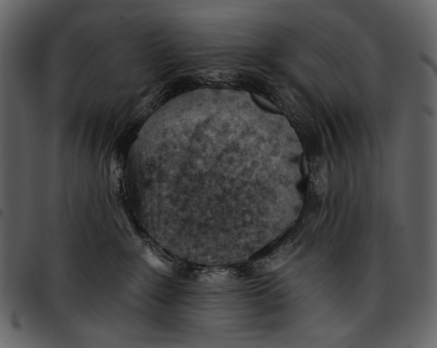 X0000096950235200802291104
