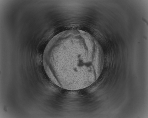 X0000096950236200802291104