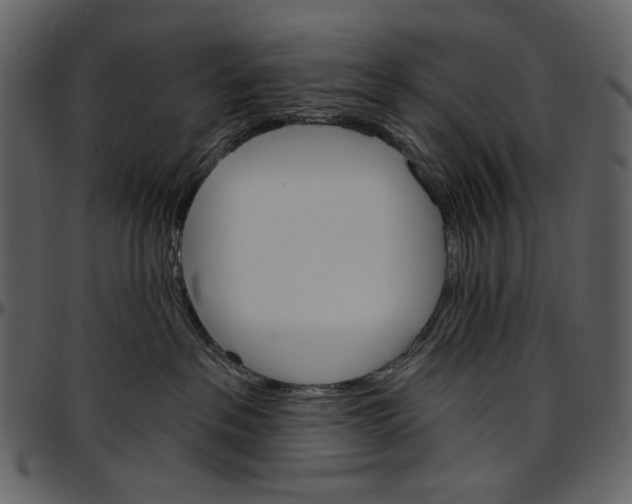 X0000096950237200802291104