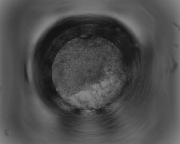 X0000096950239200802291104