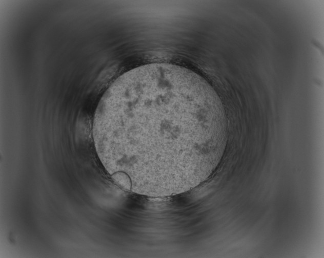X0000096950240200802291104