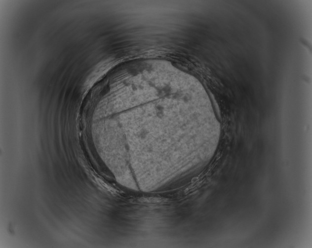 X0000096950242200802291103