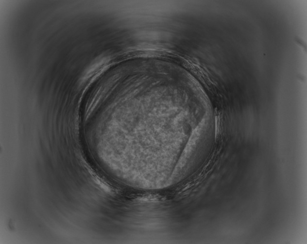 X0000096950243200802291103