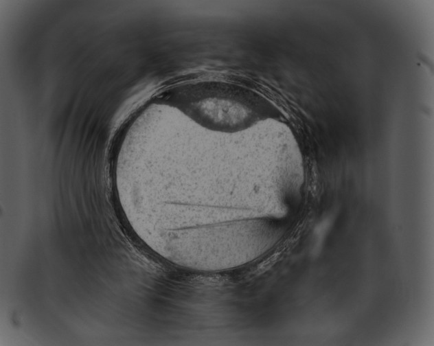 X0000096950245200802291103