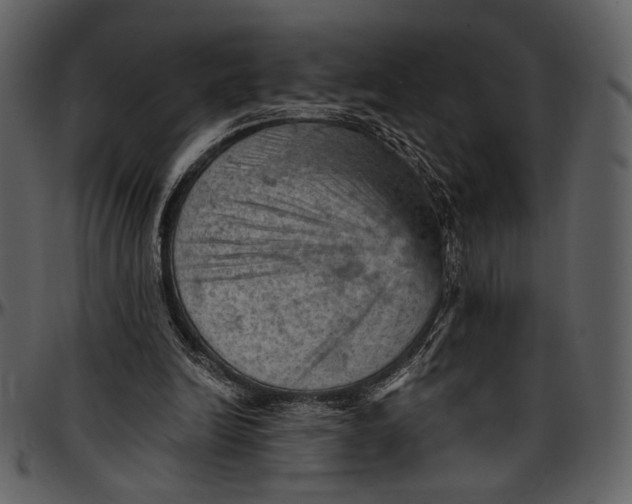 X0000096950246200802291103