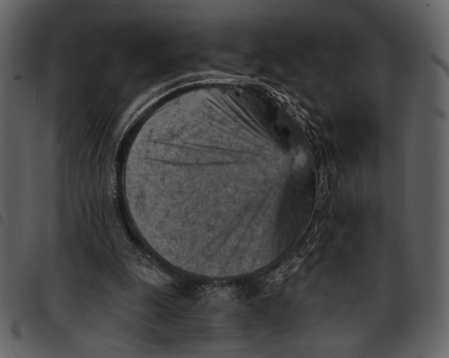 X0000096950247200802291103