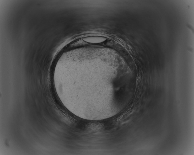 X0000096950248200802291103