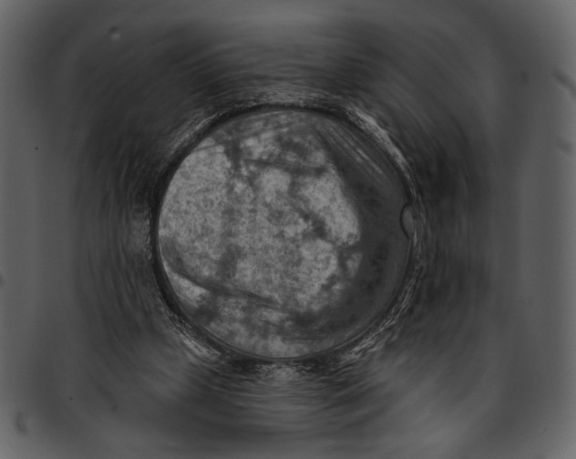 X0000096950249200802291103