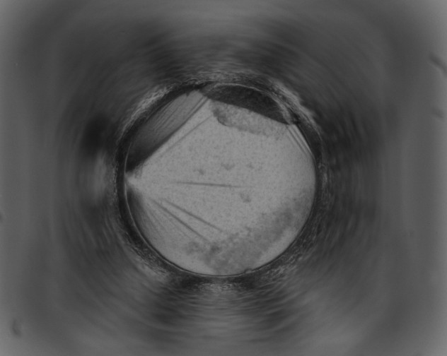 X0000096950250200802291103