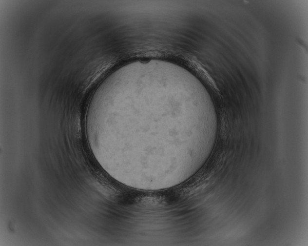 X0000096950251200802291103