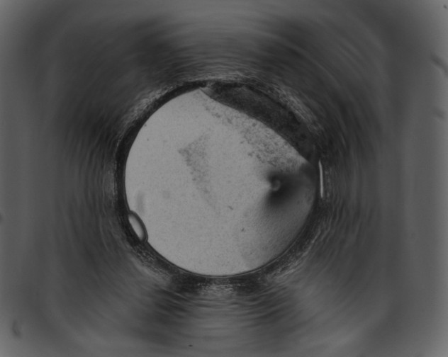 X0000096950252200802291103