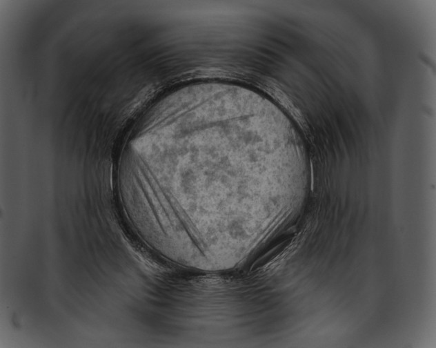 X0000096950253200802291103