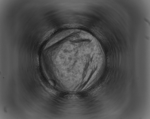 X0000096950254200802291103