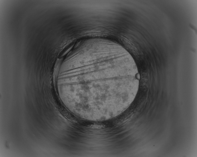 X0000096950255200802291103