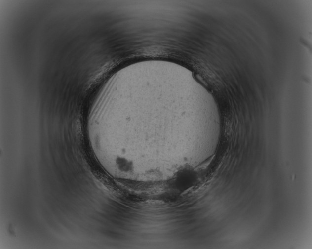 X0000096950256200802291103