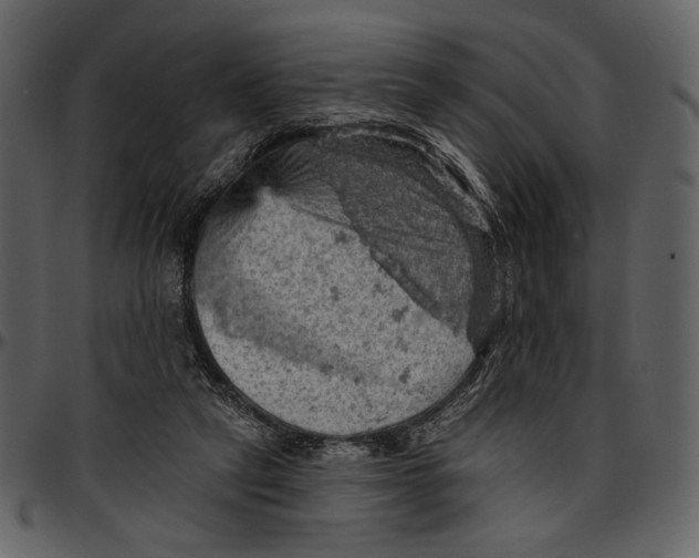 X0000096950257200802291103