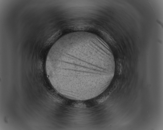 X0000096950258200802291103