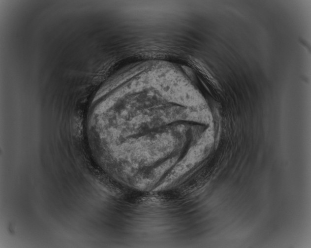 X0000096950259200802291103