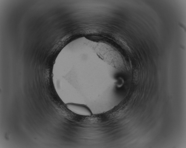 X0000096950260200802291103