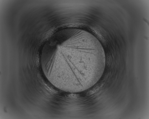 X0000096950261200802291104
