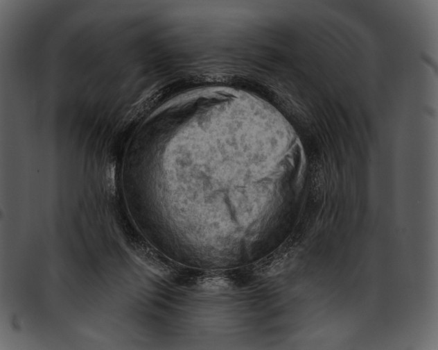X0000096950262200802291104