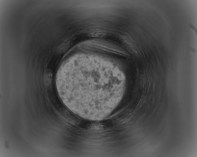 X0000096950263200802291104