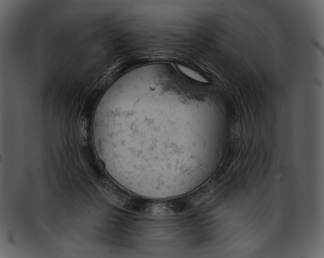 X0000096950264200802291104