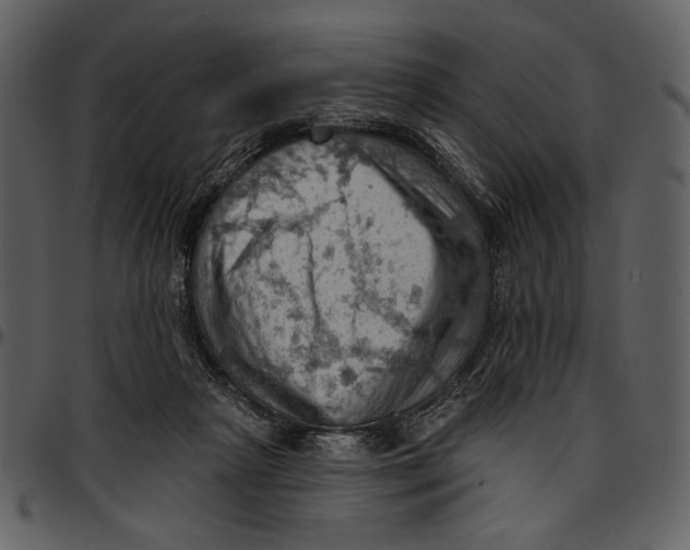 X0000096950265200802291104