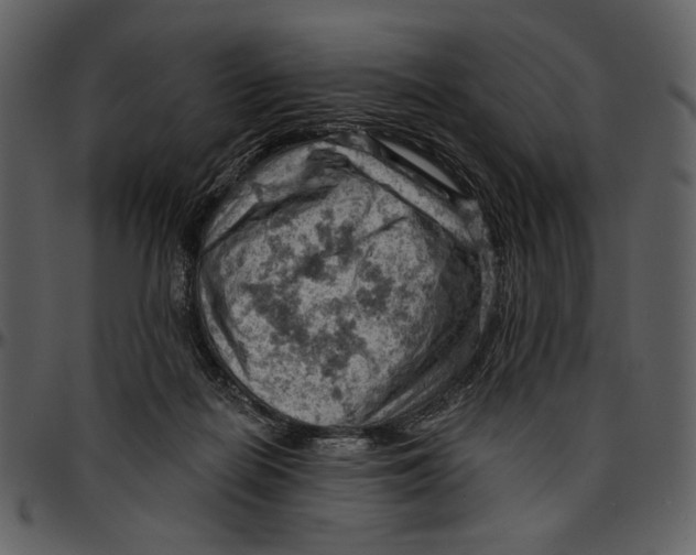 X0000096950266200802291104