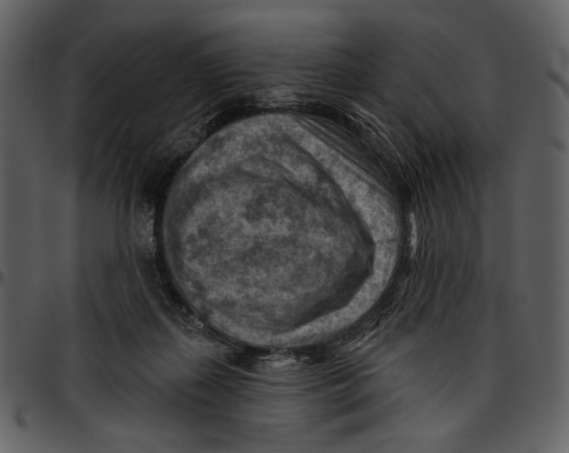 X0000096950267200802291104