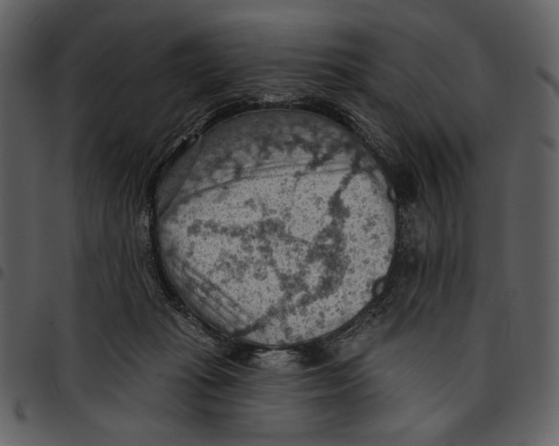X0000096950269200802291104