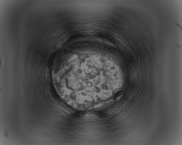 X0000096950270200802291104
