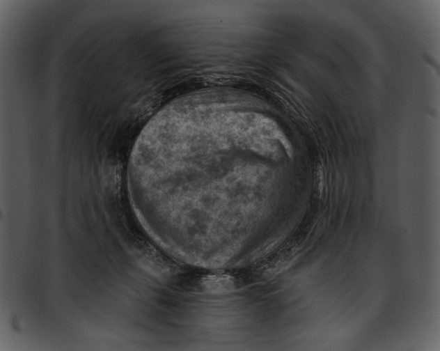X0000096950271200802291104