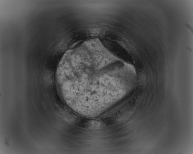 X0000096950272200802291104