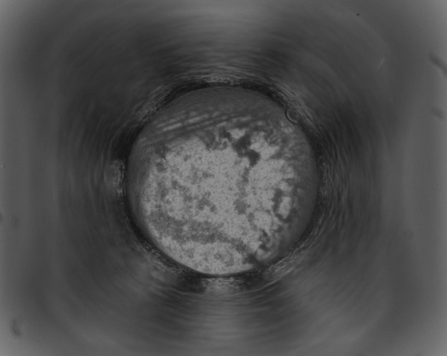 X0000096950273200802291104