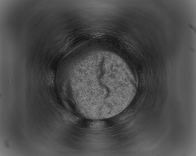 X0000096950274200802291104